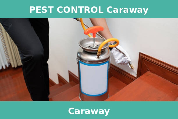 PEST CONTROL Caraway